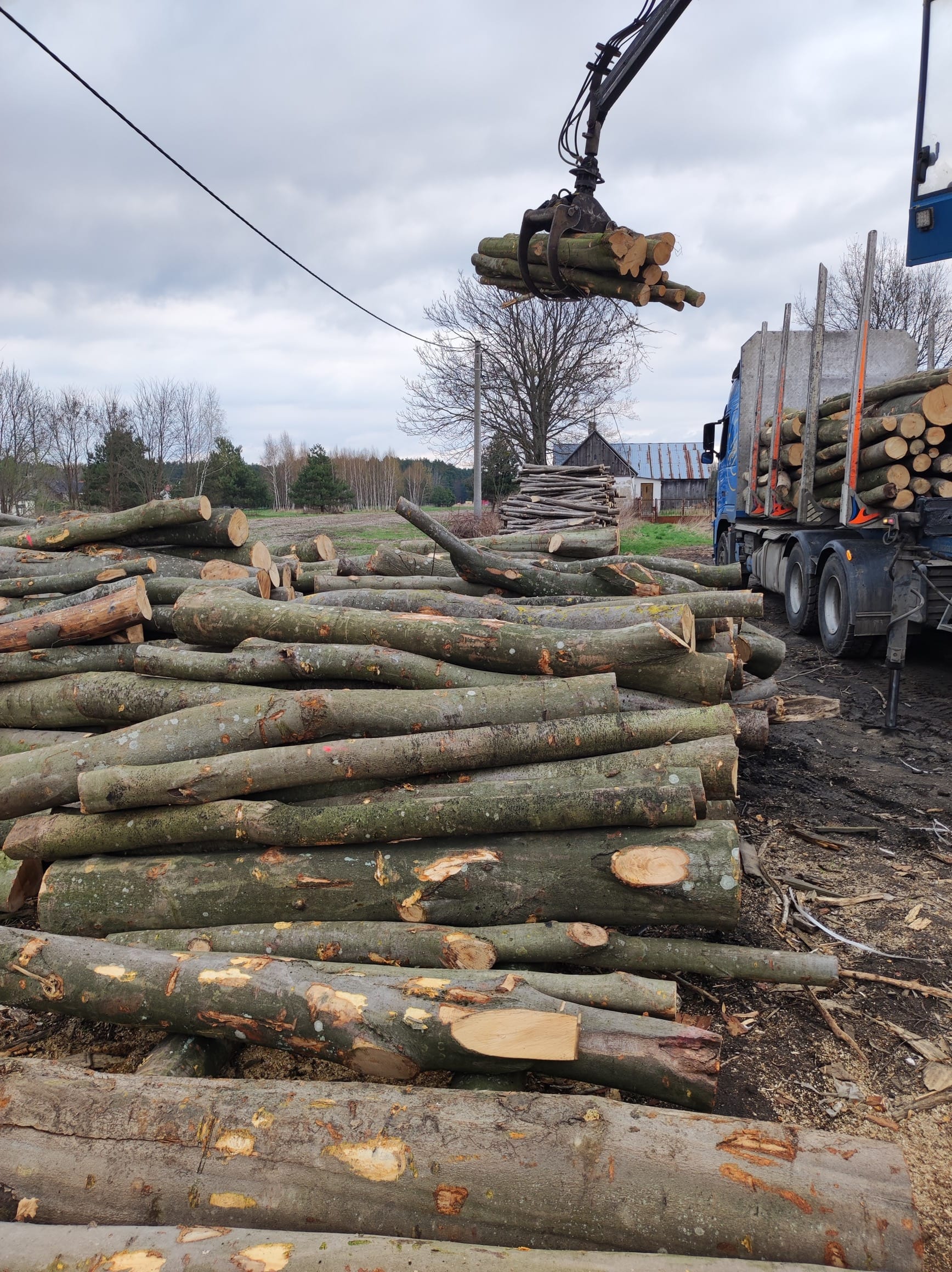 Wałki drewna opałowego 'Ciepło Drewna' - bez problemu dowieziemy je do Ciebie ciężarówką z HDS. Odpowiednia wilgotność i jakość, na które zawsze możesz liczyć. #DrewnoKominkowe #CiepłoDrewna