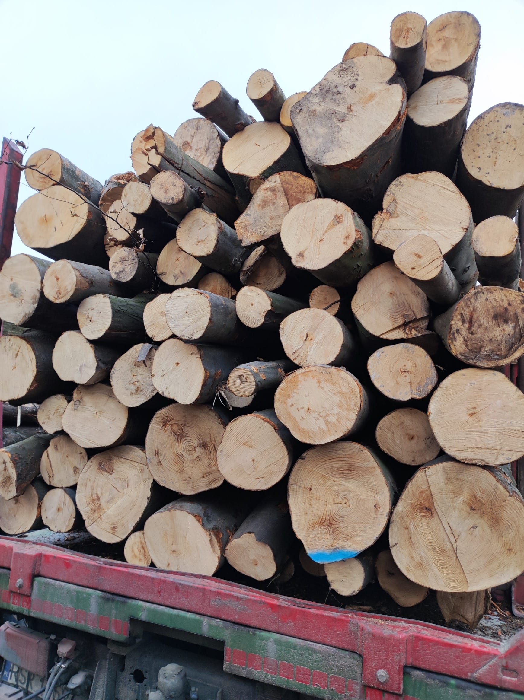 Drewno opałowe 'Ciepło Drewna' dostępne w formie wałków, z dostawą pod wskazane miejsce, powiat grodziski, pruszkowski, żyrardowski i piaseczyński. Solidna konstrukcja, doskonała jakość, idealne na zimę i nie tylko.