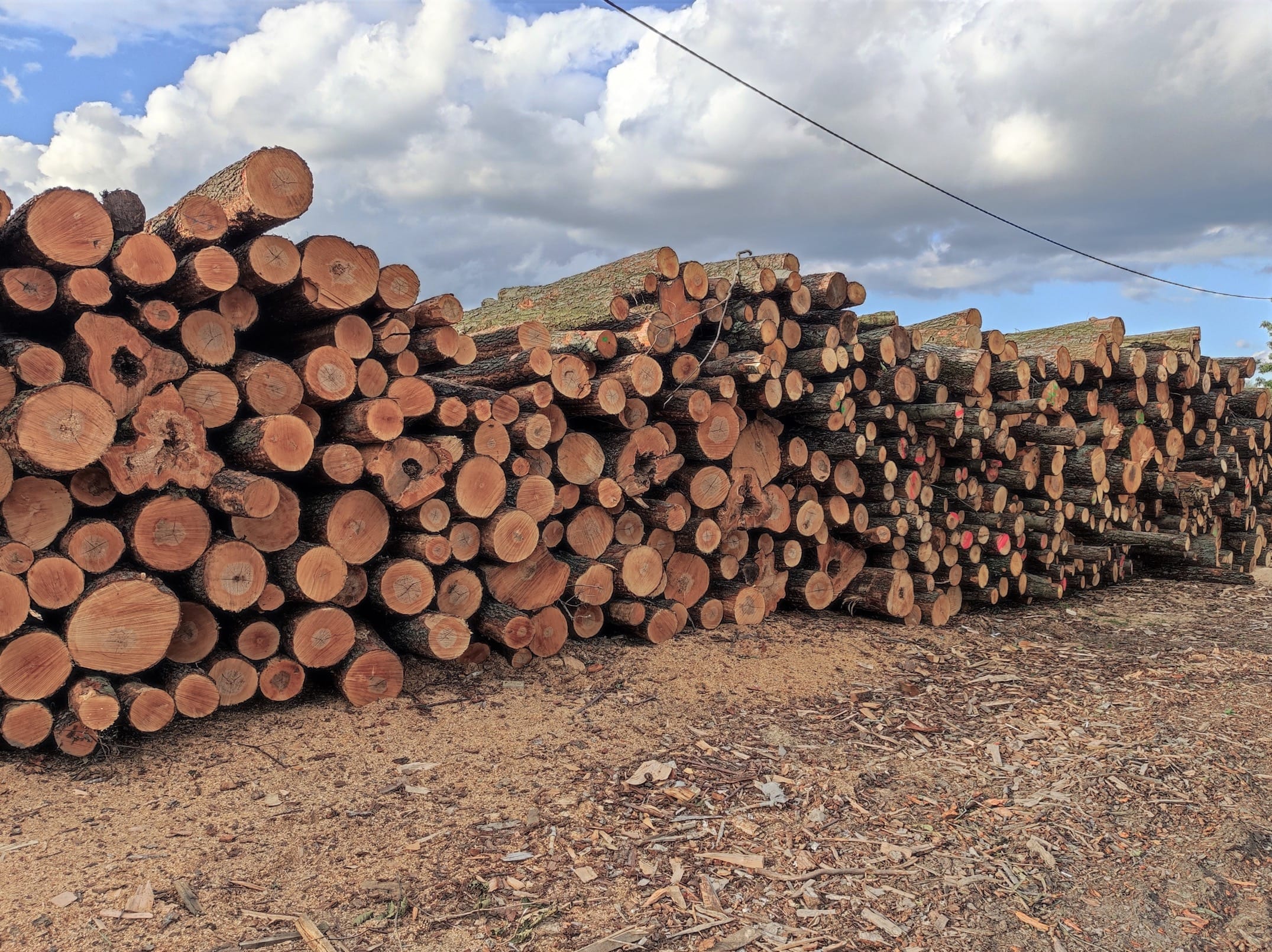 Wałki drewna opałowego 'Ciepło Drewna'. Przygotowane do cięcia, z zachowaniem najwyższej jakości procesów. Dowóz samochodem z HDS lub odbiór z własnym transportem.