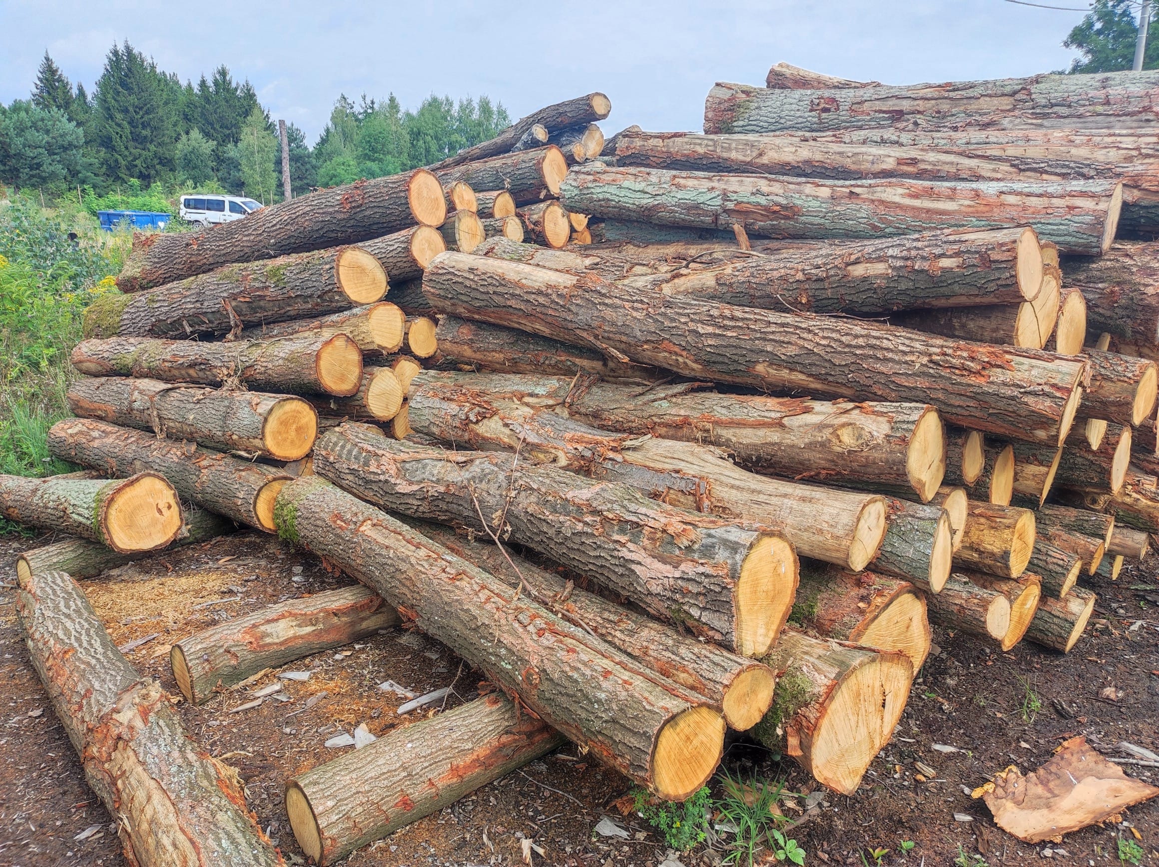 Drewno kominkowe Ciepło Drewna w formie szczap - rozłupane i gotowe do spalania w kominku. Starannie poukładane na paletach, gotowe do transportu.