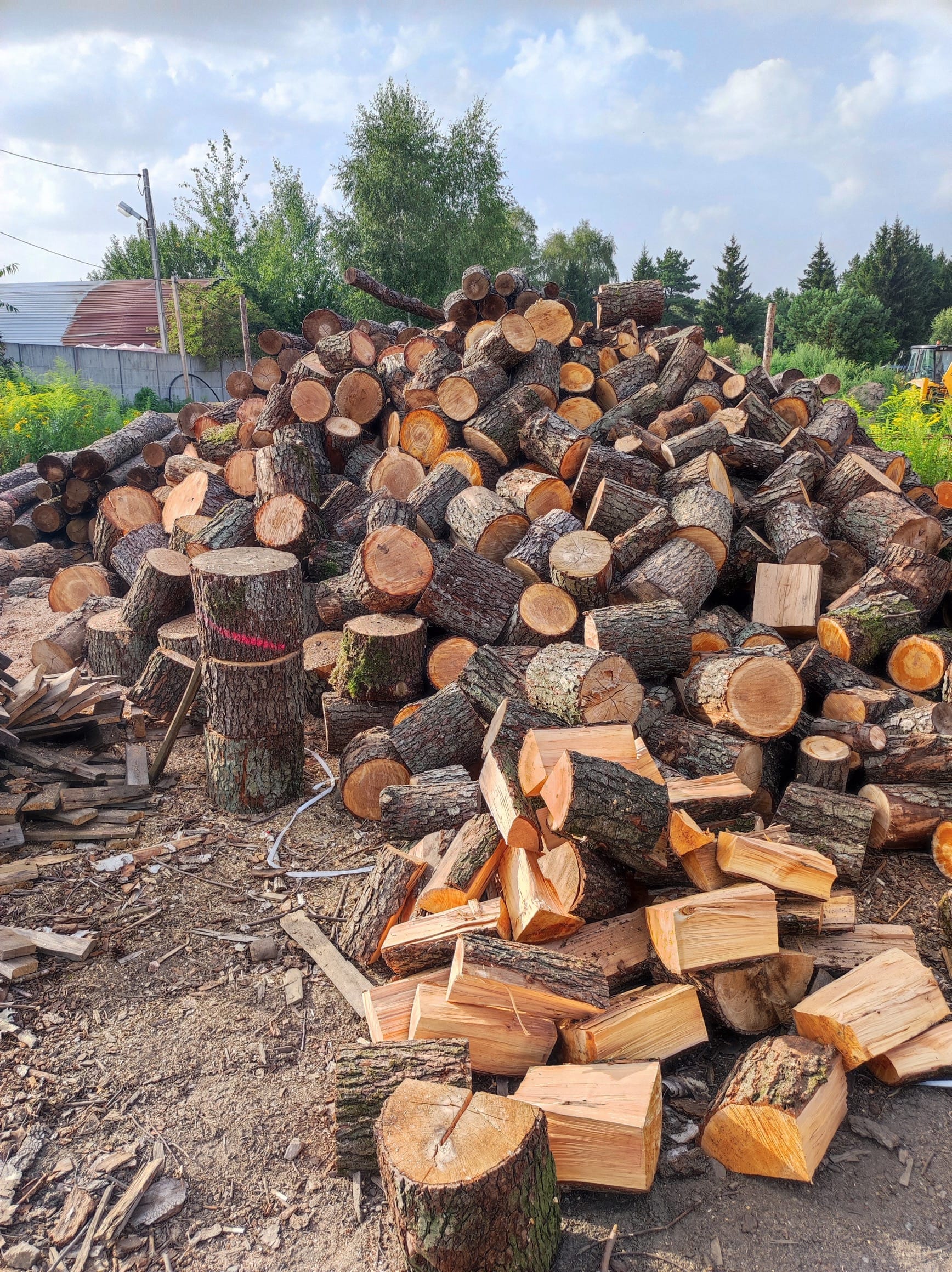 Drewno opałowe / kominkowe w trakcie transportu z lasów państwowych do składu opału drewna w Zalesiu, woj. Mazowieckie, gdzie drewno jest składowane z zachowaniem wszelkich norm.