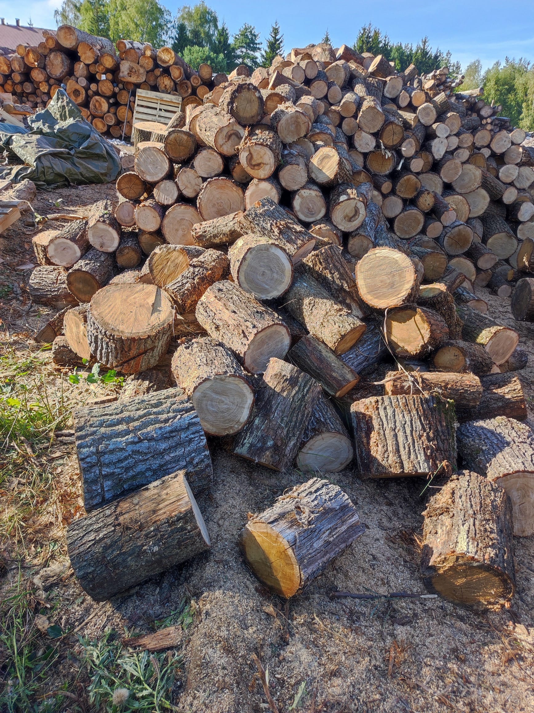 Drewno kominkowe w składzie opału 'Ciepło Drewna', częściowo rozłupane na szczapy, a częściowo pocięte na klocki. Przygotowane do rozłupania oraz składowania.