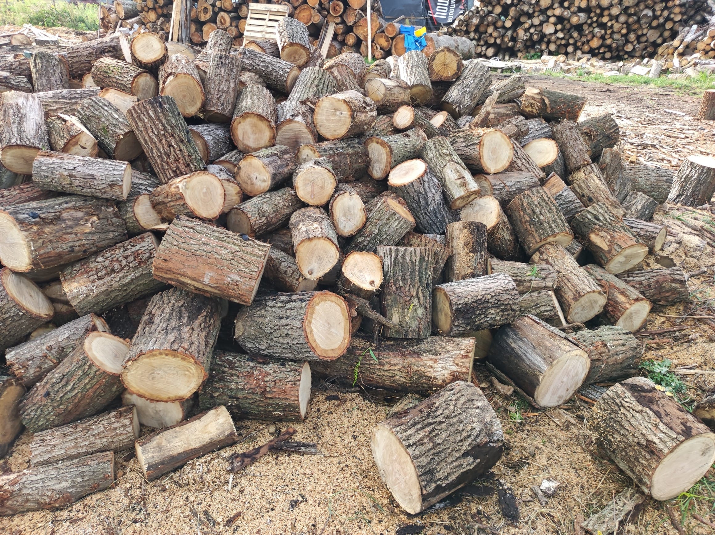 Drewno opałowe w składzie opału 'Ciepło Drewna', pocięte na odpowiedniej długości klocki, częściowo poukładane, oraz przygotowywane do rozłupania.